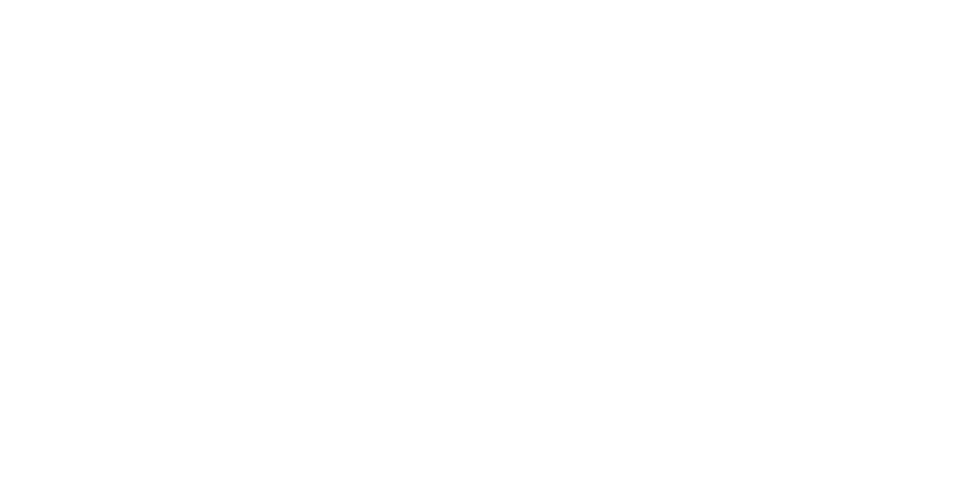 NEW YEAR FESTIVAL